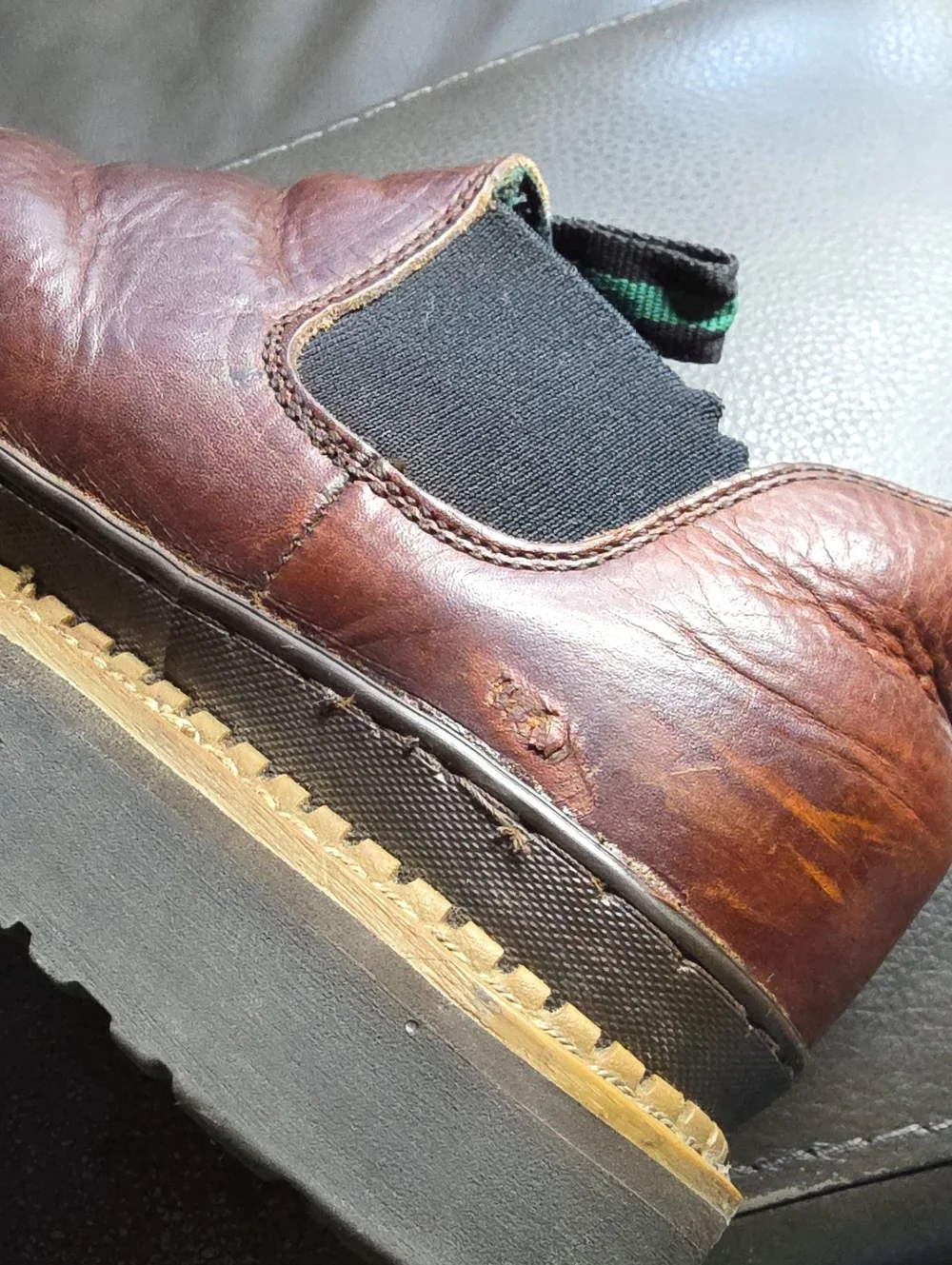 Georgia Giant classic men
